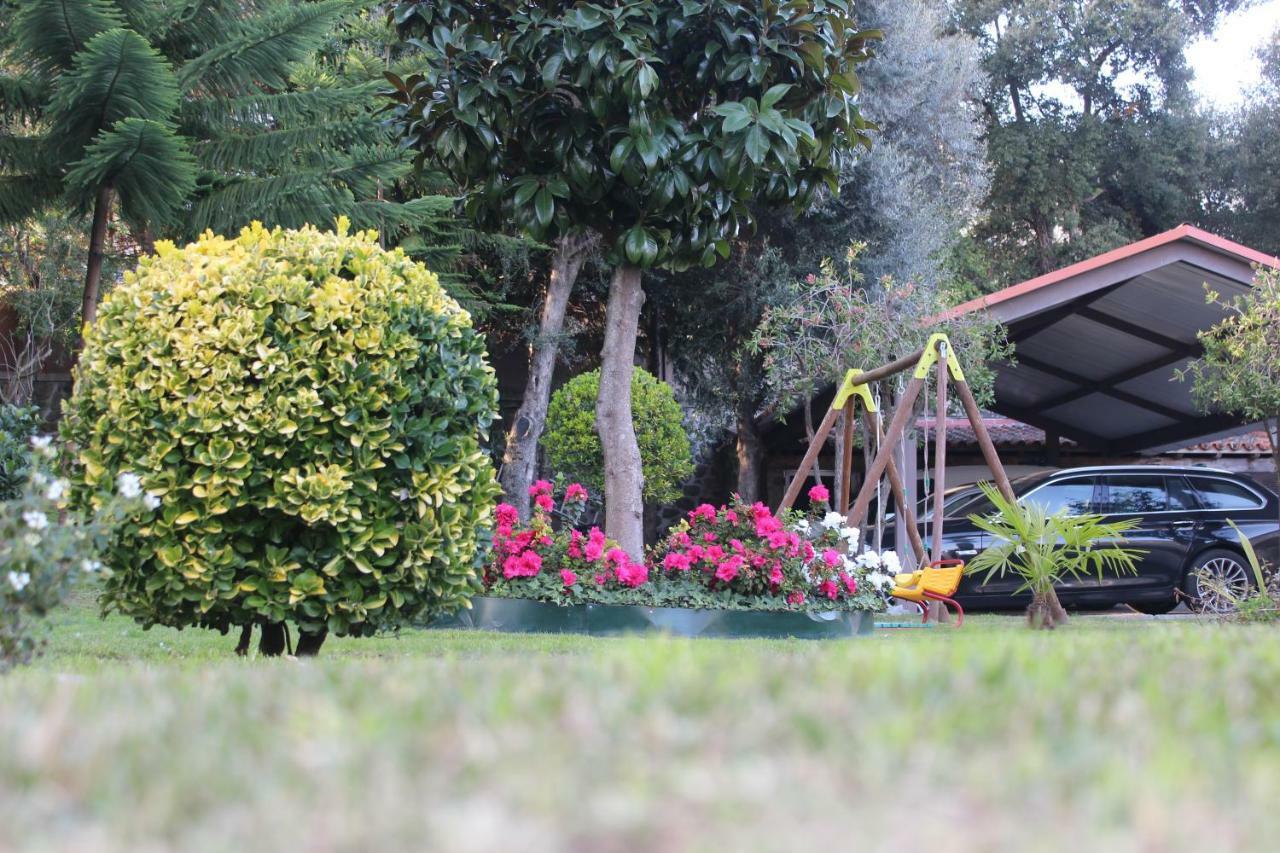 Turismo Homes Solar Do Areal ブラガ エクステリア 写真